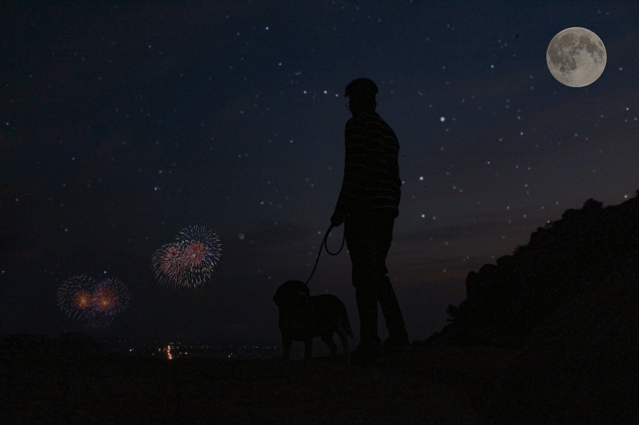 Dogstrologie - Sternzeichen der Hunde - der Widder-Hund