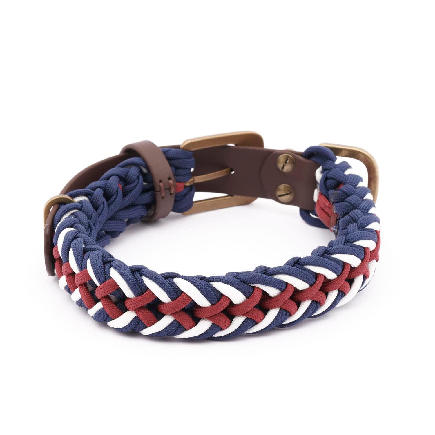 William Walker Paracord Hundehalsband Royal